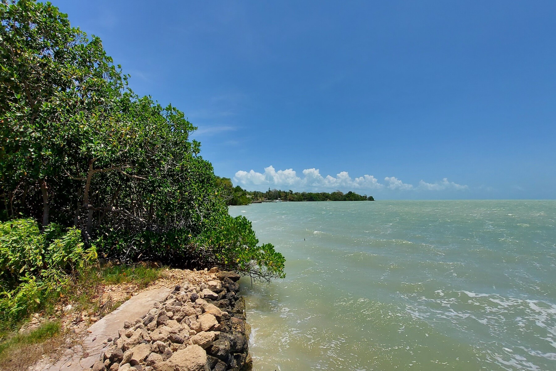 Consejo Shores Real Estate • Vista Real Estate